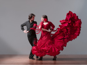 Flamenco -